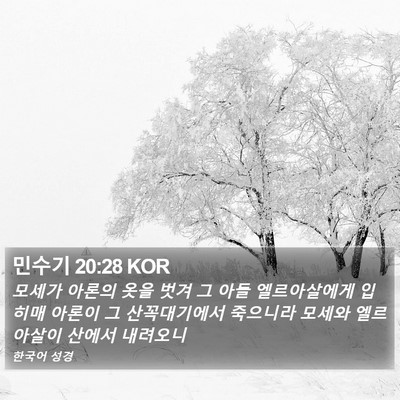 민수기 20:28 KOR Bible Verse Image