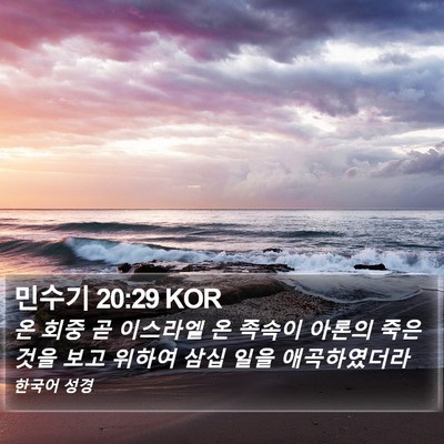 민수기 20:29 KOR Bible Verse Image