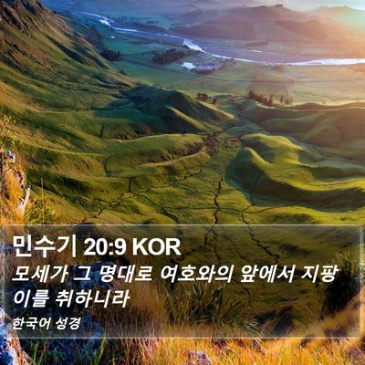 민수기 20:9 KOR Bible Verse Image