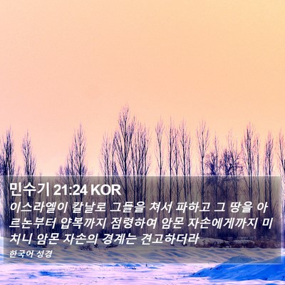민수기 21:24 KOR Bible Verse Image
