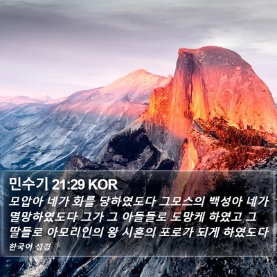 민수기 21:29 KOR Bible Verse Image