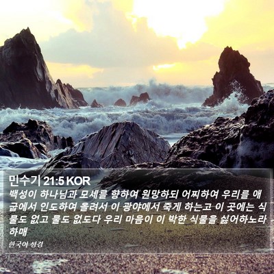 민수기 21:5 KOR Bible Verse Image