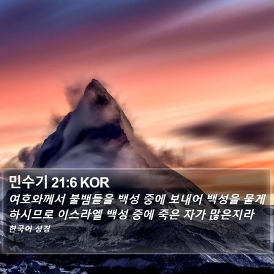 민수기 21:6 KOR Bible Verse Image