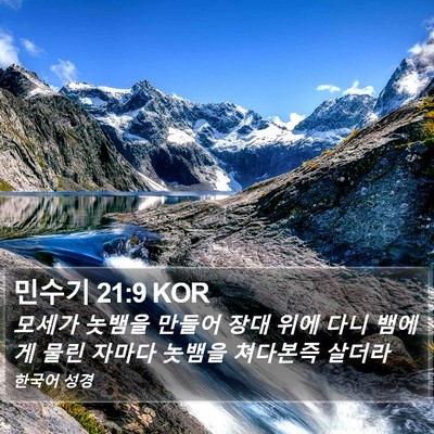 민수기 21:9 KOR Bible Verse Image
