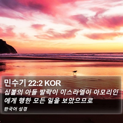 민수기 22:2 KOR Bible Verse Image