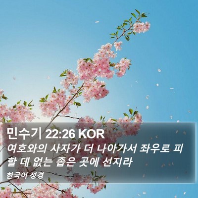 민수기 22:26 KOR Bible Verse Image