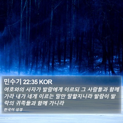민수기 22:35 KOR Bible Verse Image