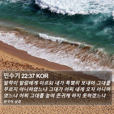 민수기 22:37 KOR Bible Verse Image
