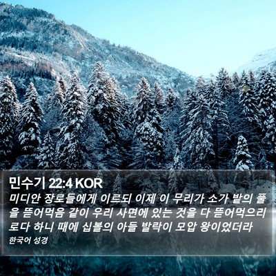 민수기 22:4 KOR Bible Verse Image