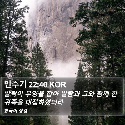민수기 22:40 KOR Bible Verse Image