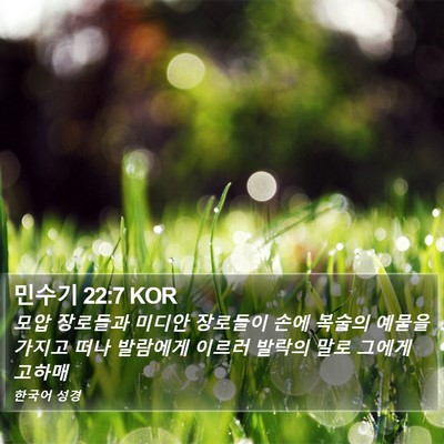 민수기 22:7 KOR Bible Verse Image