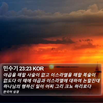 민수기 23:23 KOR Bible Verse Image