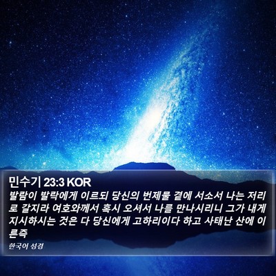 민수기 23:3 KOR Bible Verse Image