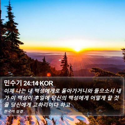 민수기 24:14 KOR Bible Verse Image