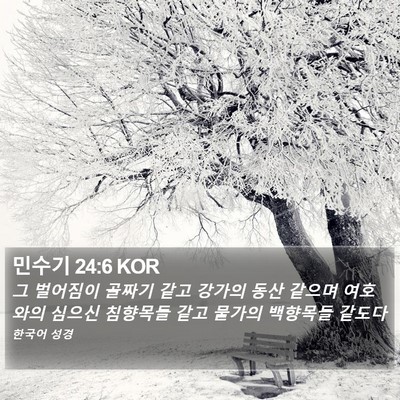 민수기 24:6 KOR Bible Verse Image