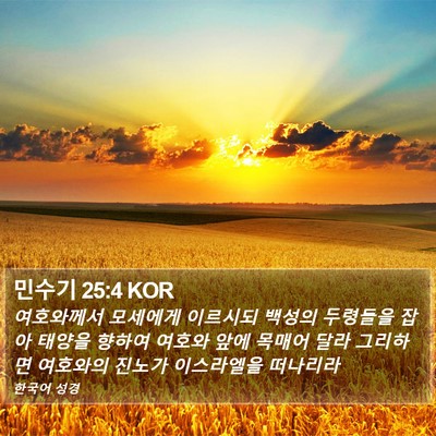 민수기 25:4 KOR Bible Verse Image