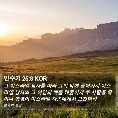 민수기 25:8 KOR Bible Verse Image