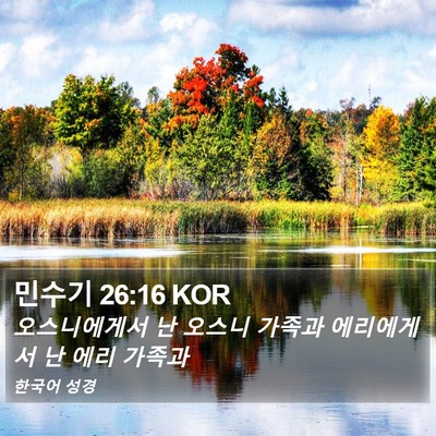 민수기 26:16 KOR Bible Verse Image