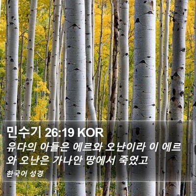 민수기 26:19 KOR Bible Verse Image