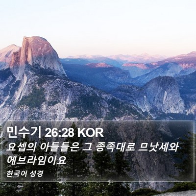 민수기 26:28 KOR Bible Verse Image