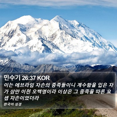 민수기 26:37 KOR Bible Verse Image