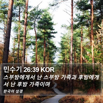 민수기 26:39 KOR Bible Verse Image