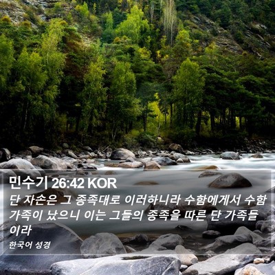 민수기 26:42 KOR Bible Verse Image