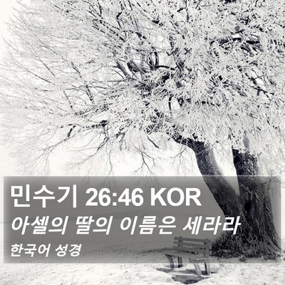 민수기 26:46 KOR Bible Verse Image