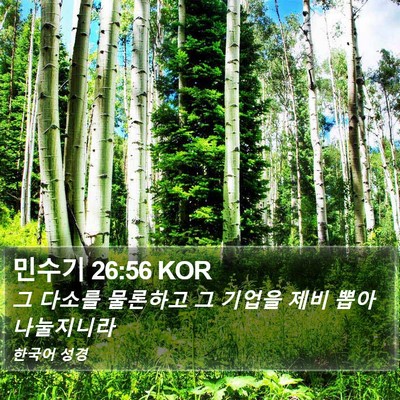 민수기 26:56 KOR Bible Verse Image