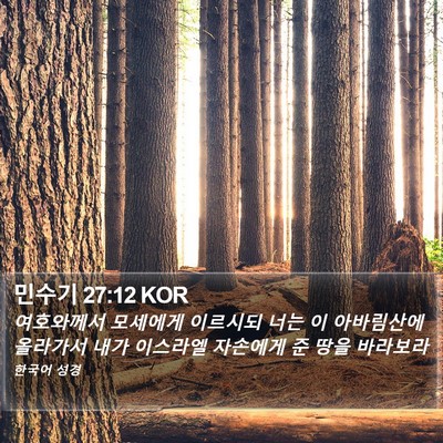 민수기 27:12 KOR Bible Verse Image