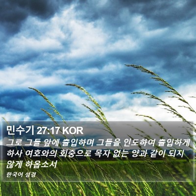 민수기 27:17 KOR Bible Verse Image