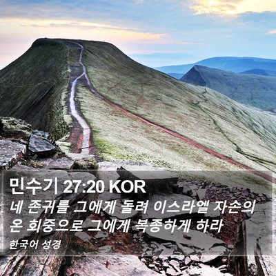 민수기 27:20 KOR Bible Verse Image
