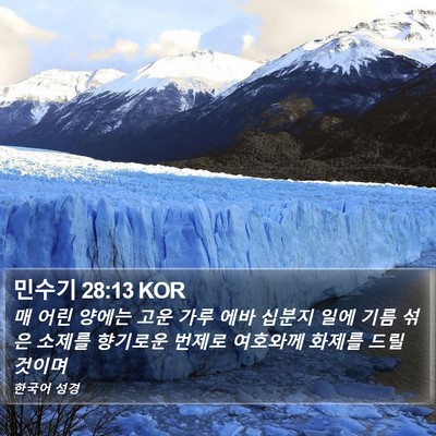 민수기 28:13 KOR Bible Verse Image