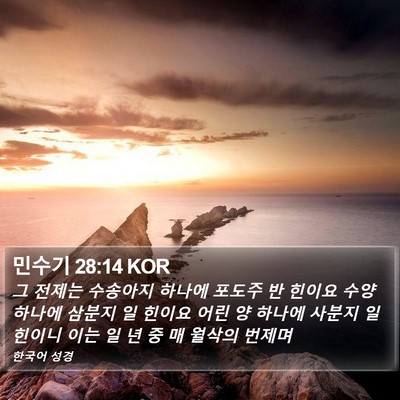 민수기 28:14 KOR Bible Verse Image
