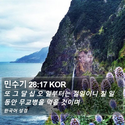 민수기 28:17 KOR Bible Verse Image