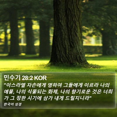 민수기 28:2 KOR Bible Verse Image