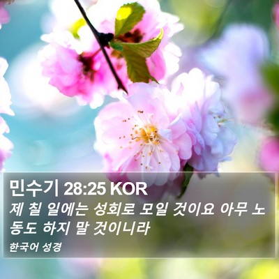 민수기 28:25 KOR Bible Verse Image