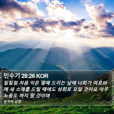 민수기 28:26 KOR Bible Verse Image