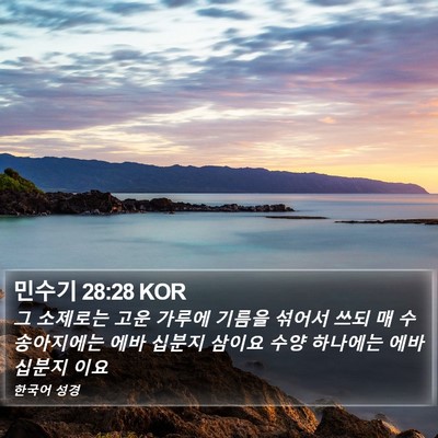 민수기 28:28 KOR Bible Verse Image