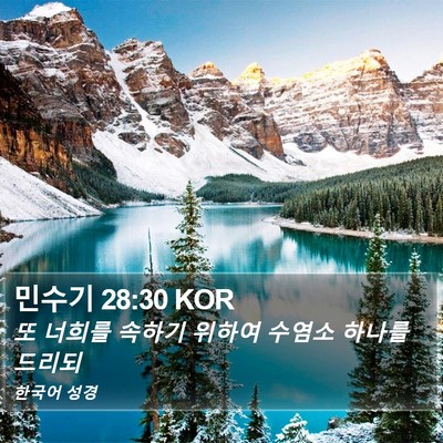 민수기 28:30 KOR Bible Verse Image