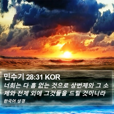 민수기 28:31 KOR Bible Verse Image