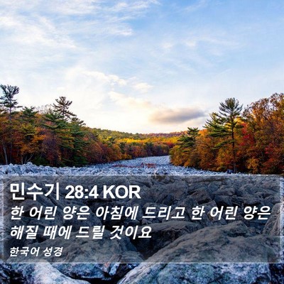민수기 28:4 KOR Bible Verse Image