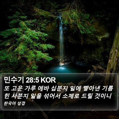 민수기 28:5 KOR Bible Verse Image