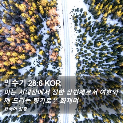 민수기 28:6 KOR Bible Verse Image