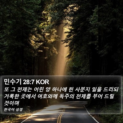 민수기 28:7 KOR Bible Verse Image