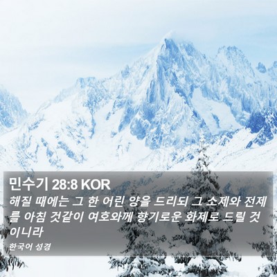민수기 28:8 KOR Bible Verse Image
