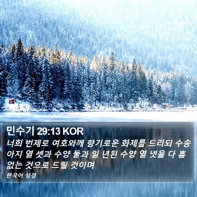민수기 29:13 KOR Bible Verse Image