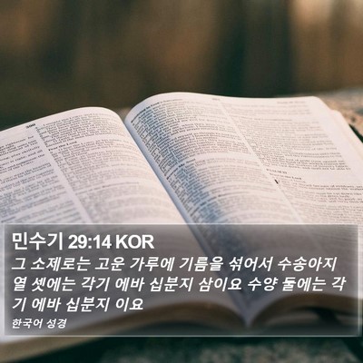 민수기 29:14 KOR Bible Verse Image