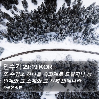 민수기 29:19 KOR Bible Verse Image