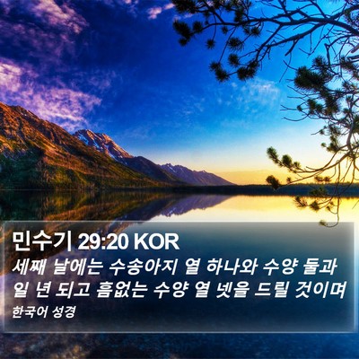 민수기 29:20 KOR Bible Verse Image
